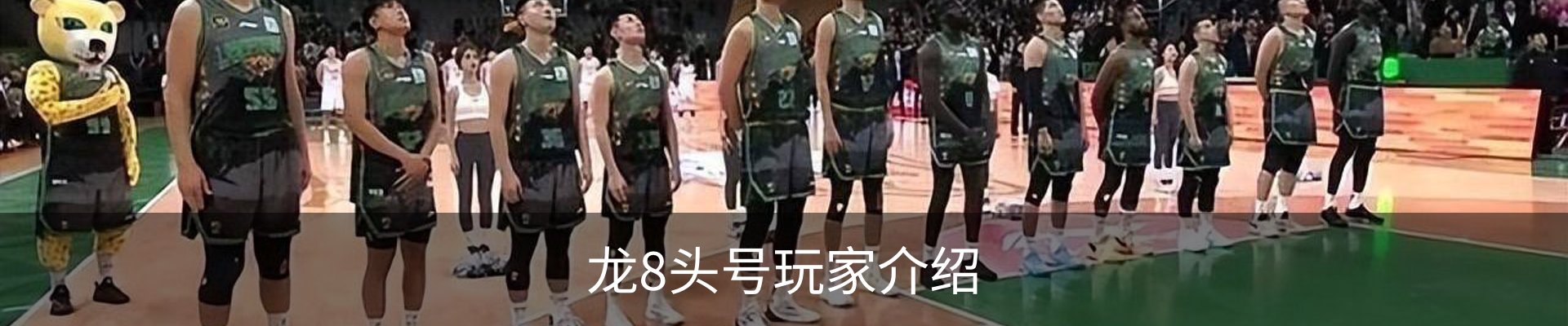 龙8头号玩家介绍